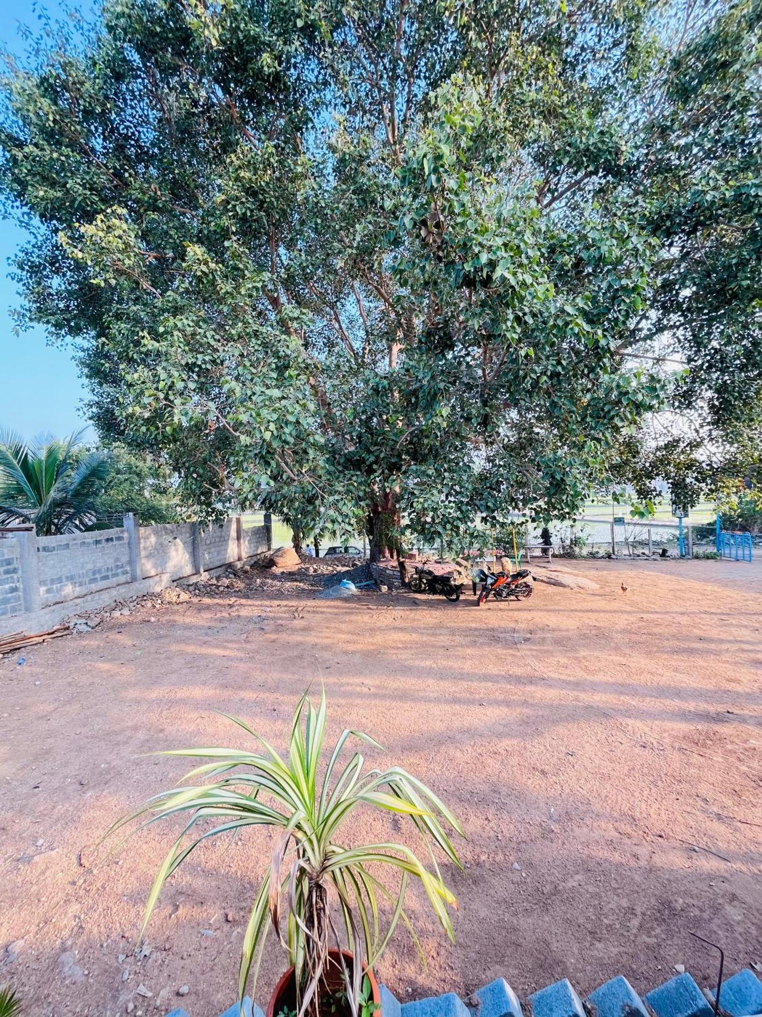 Jungle Tree Hampi Otel Dış mekan fotoğraf